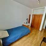 Sublime - Equipee & Wifi Lägenhet Grenoble